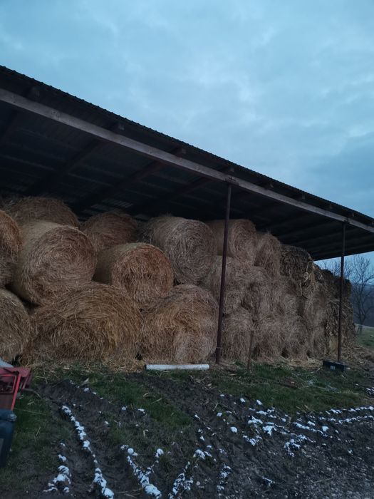 Baloti de fan și paie