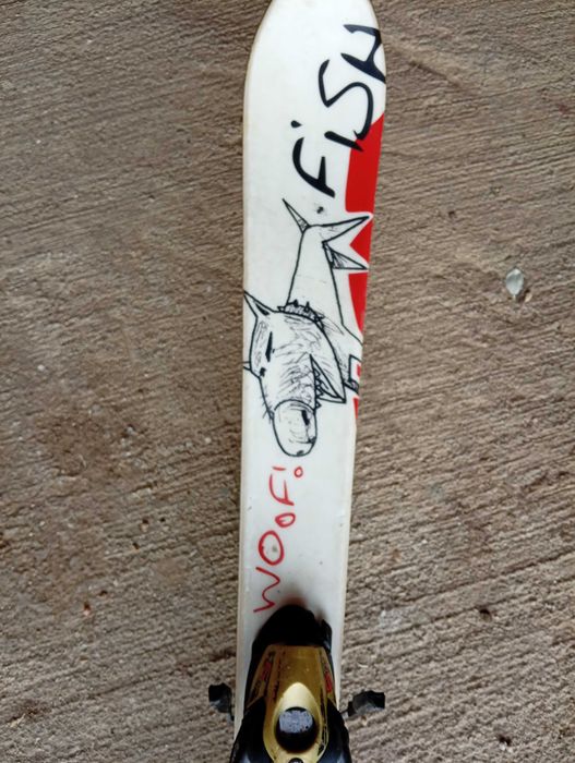 Skiuri freestyle + clăpari