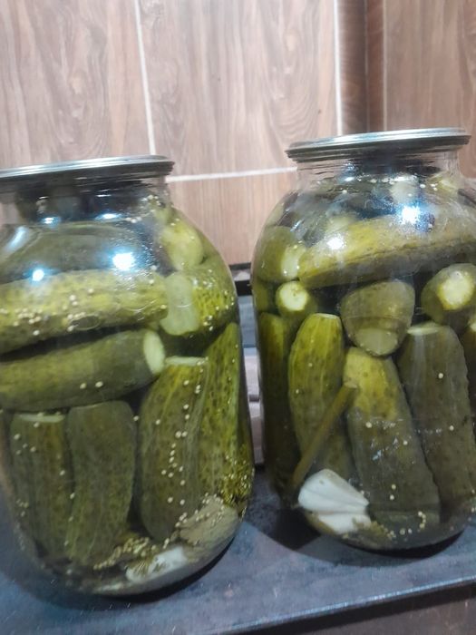Домашние полезные огурцы