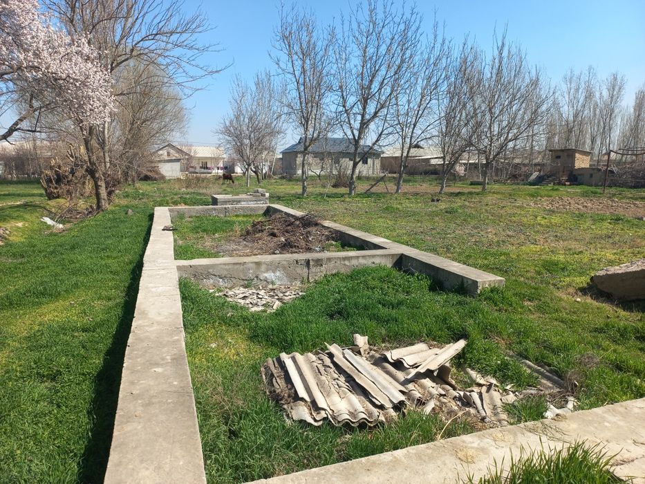 Гулистон шахар Истиклол махалласи, Истиклол кучаси, 15 сотих