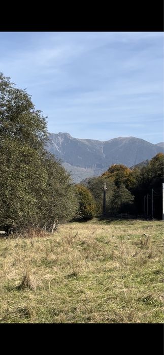 Teren Muntii Tiblesului