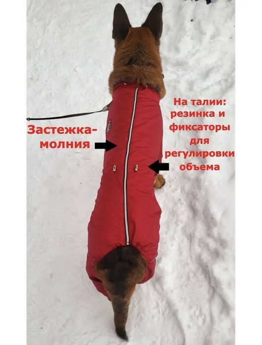 Комбез для собаки(унисекс)Темиртау.