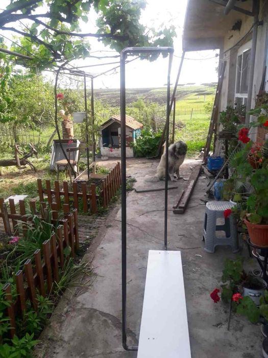 Продава се Къща в с. Васил Левски, Област Стара Загора - 90 кв.м за 146 €/кв.м - Снимка #4