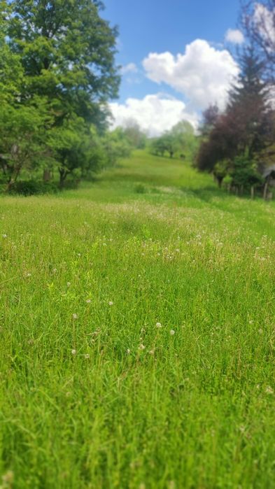 2 Terenuri intravilane pentru cabana,pensiune  sau casa de vacanta
