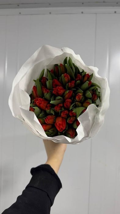 Тюльпаны из Голландии к 14 февраля — доставка по Ташкенту