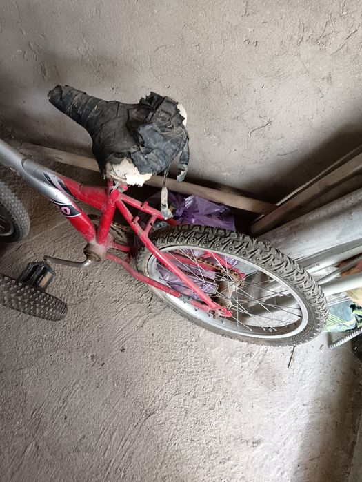 Велик сатылады, срочно