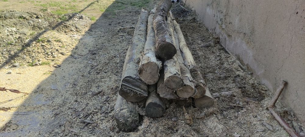 Болол сотаман, арзон, тез. Ховлини тозалаш керак. Жамбой центрда.
