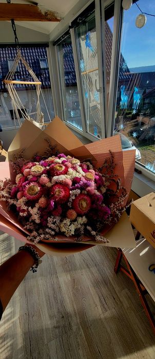 Florin statice en-gros