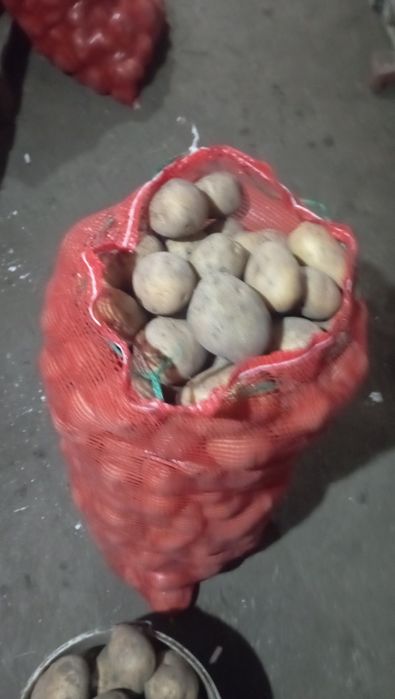 Продаем, картофель, 170,есть доставка по городу