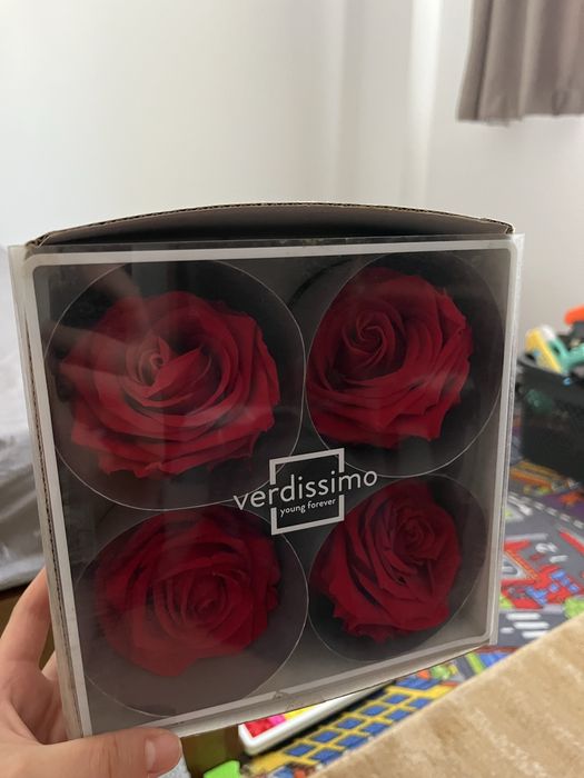 Vand Bulbi trandafiri criogenati