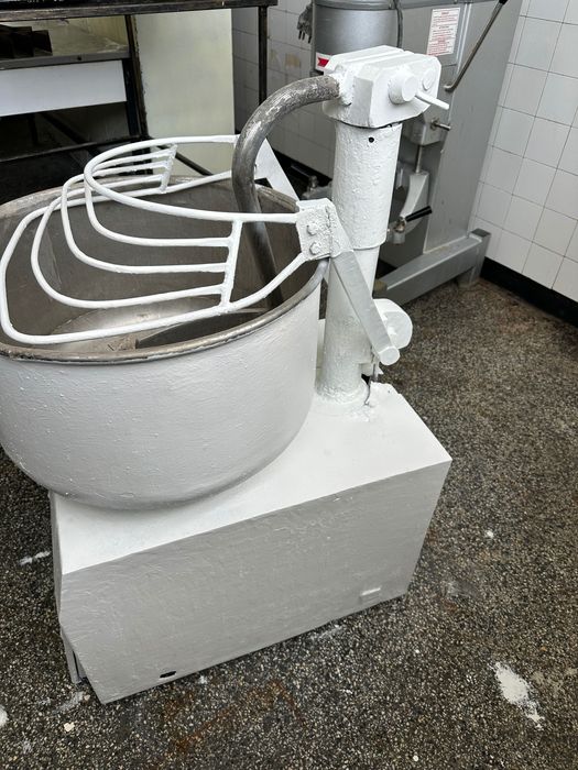 Тестомесачка професионална