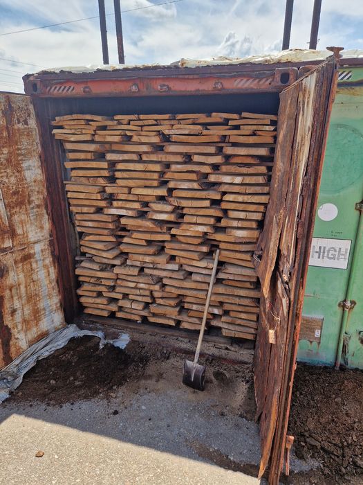 Сухой карагач .дуб орех