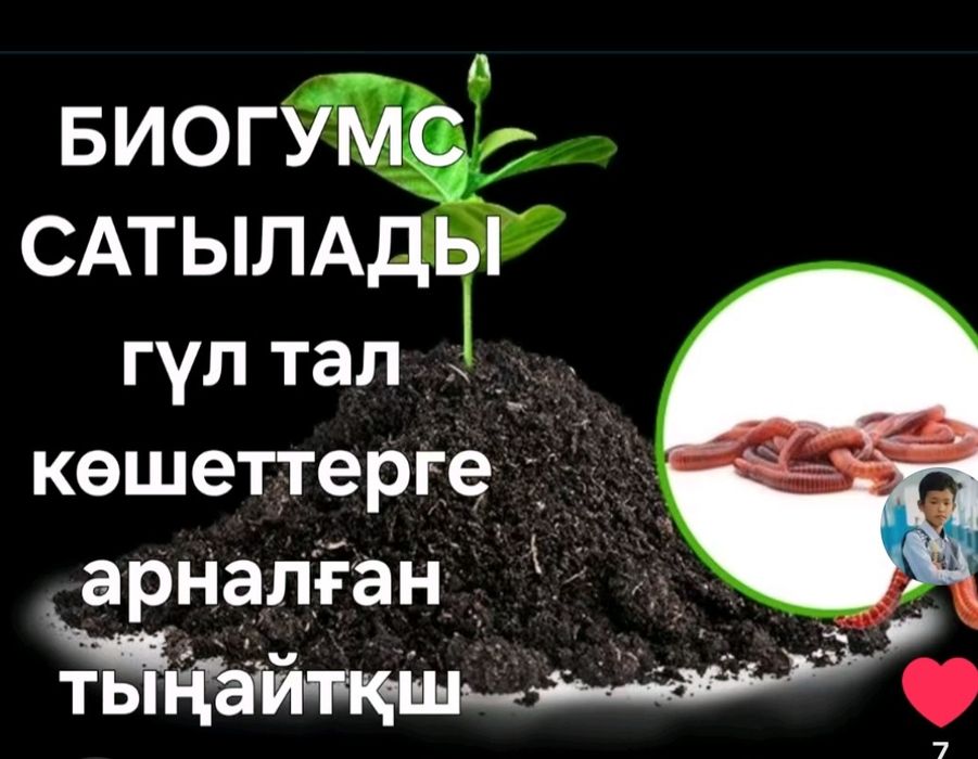 саженцы сатылады