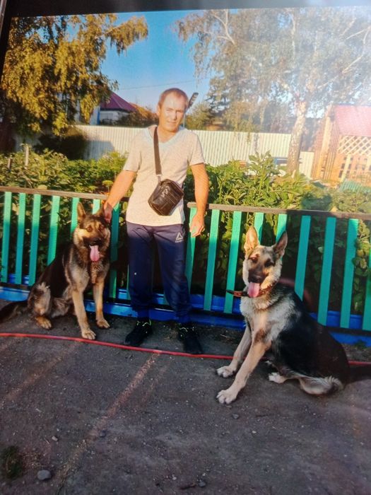 Вео очварка для вязка.