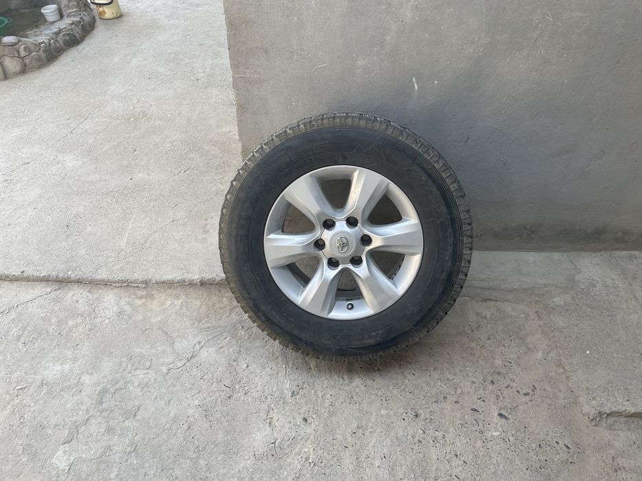 Титанки Prado Toyota R17