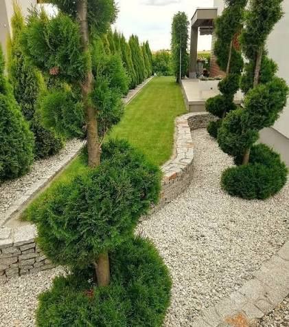 Газон и ландшафты дизайн