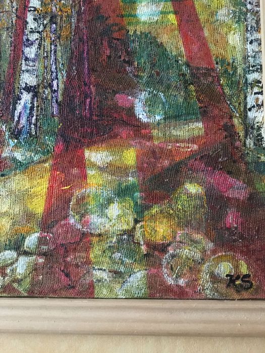 Витоша-Морените и слънчеви зайци