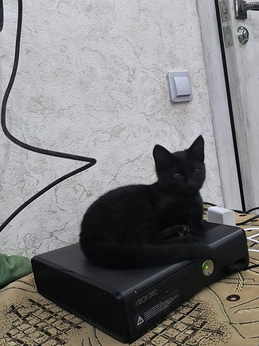 Продам Xbox 360 slim