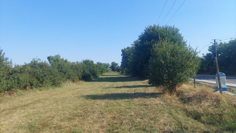 Teren intravilan - 2500 mp - Baba Ana