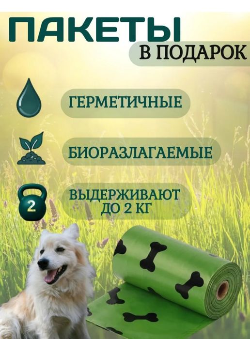 Для выгула собак