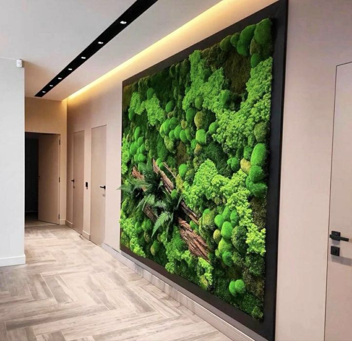 Эко-арт для вашего интерьера мох, картины из мха побработка фито стен