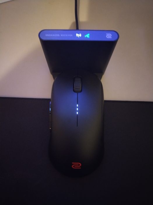 Mouse Zowie U2 DW