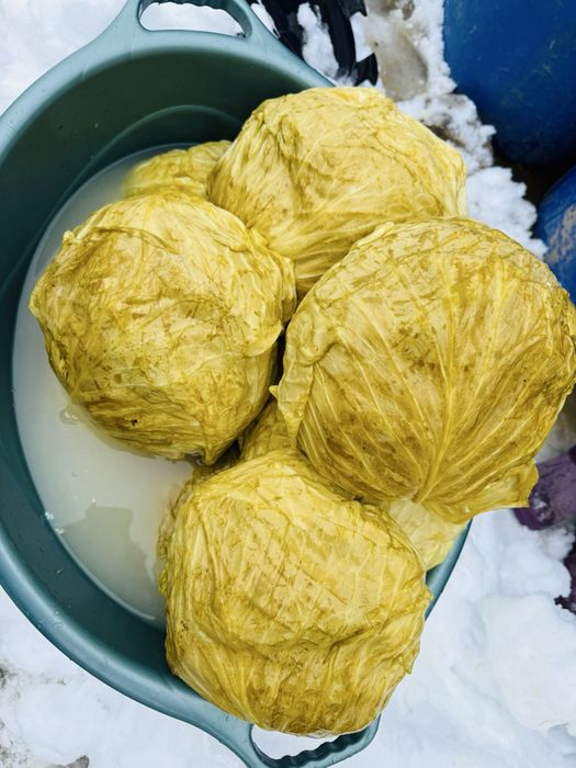 Varza murata Marloo si Romaneasca