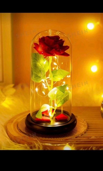 Роза в стъкленица след LED светлина