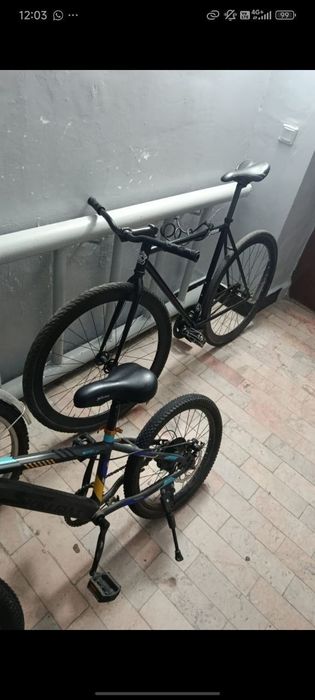 Фикс-треклокрос bearbike