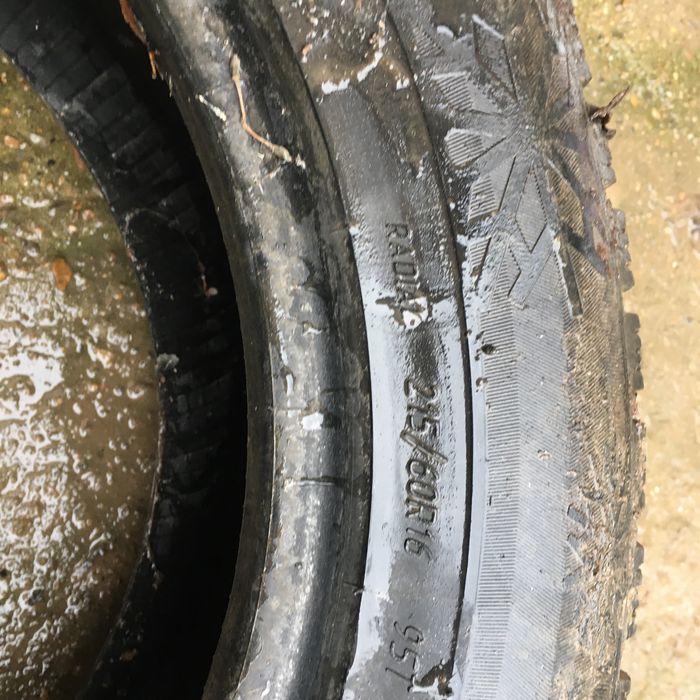 Зимный пакришка