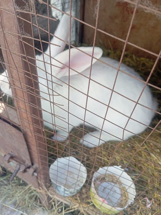 Продам или объменяю