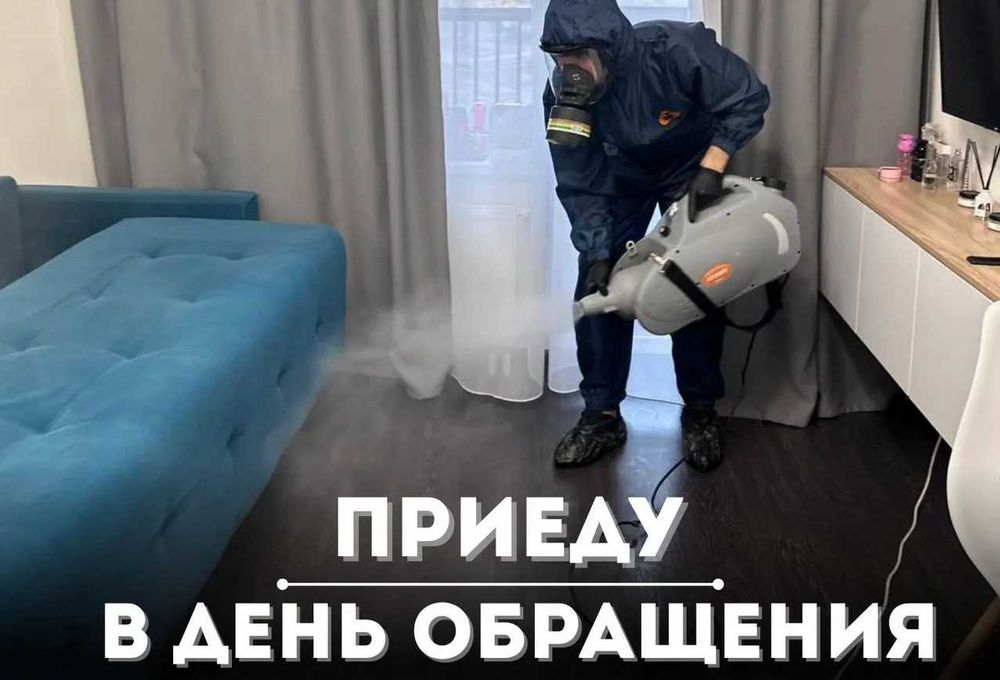 Dezenfeksiya Дезинфекция dezinfeksiya клоп tarakan таракан эффект 100%