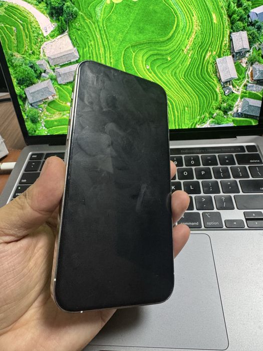 Iphone 13 pro max 256gb