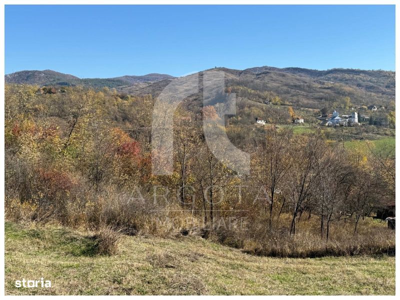 Teren Cozieni - Valea Banului | Comision Zero