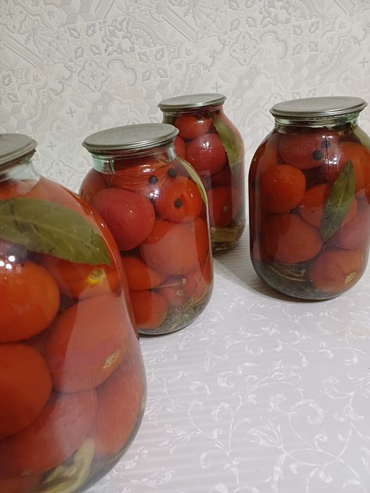 Помидоры домашние,  соленые