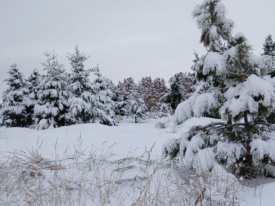 Участок в Южном.
