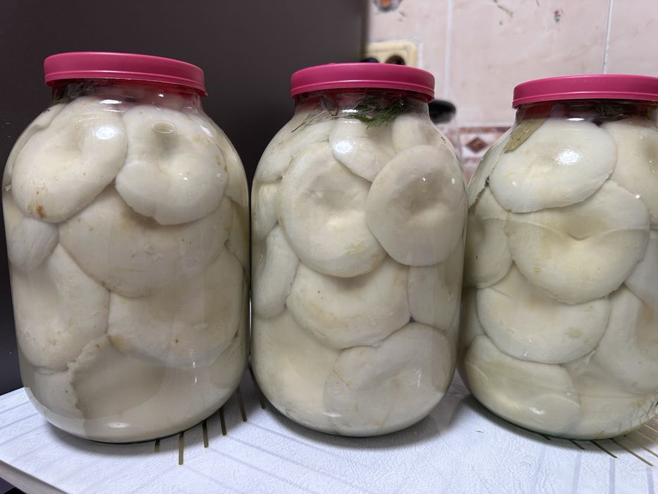 Грибы грузди соленые