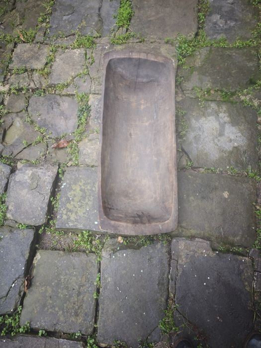 нощви големи стари