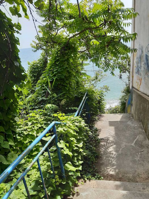 Морски апартамент под наем