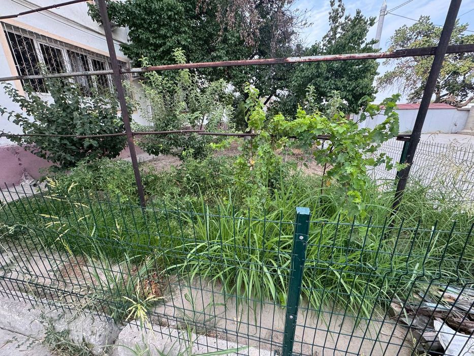 Yunusobod Tutzorda 8 sotix uchaska sotiladi Yer xisobida  Farsad 20/40