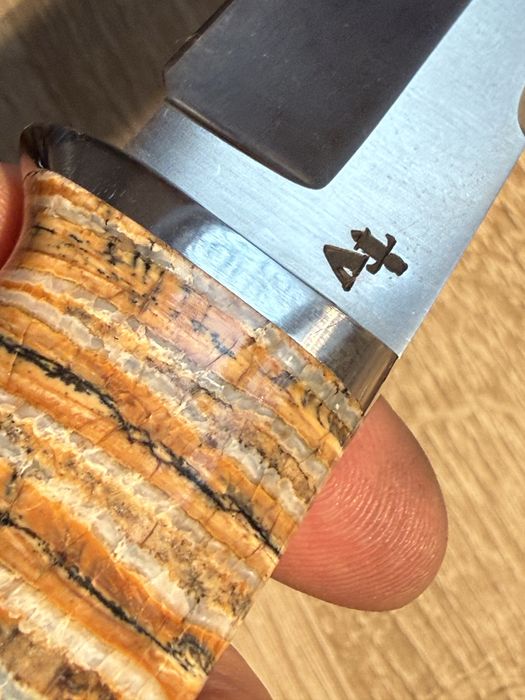 Cutit molar fosilizat 6000+