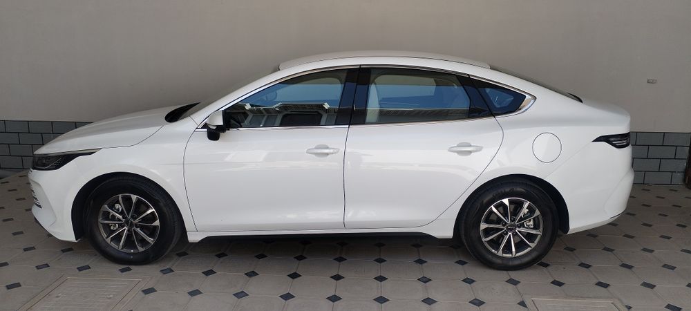 Byd chazor active 55