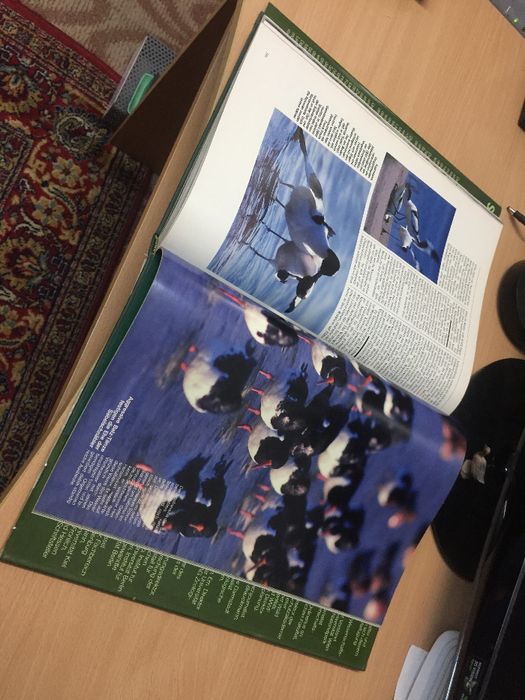 Уникална Немска Енциклопедия/ *1982г*