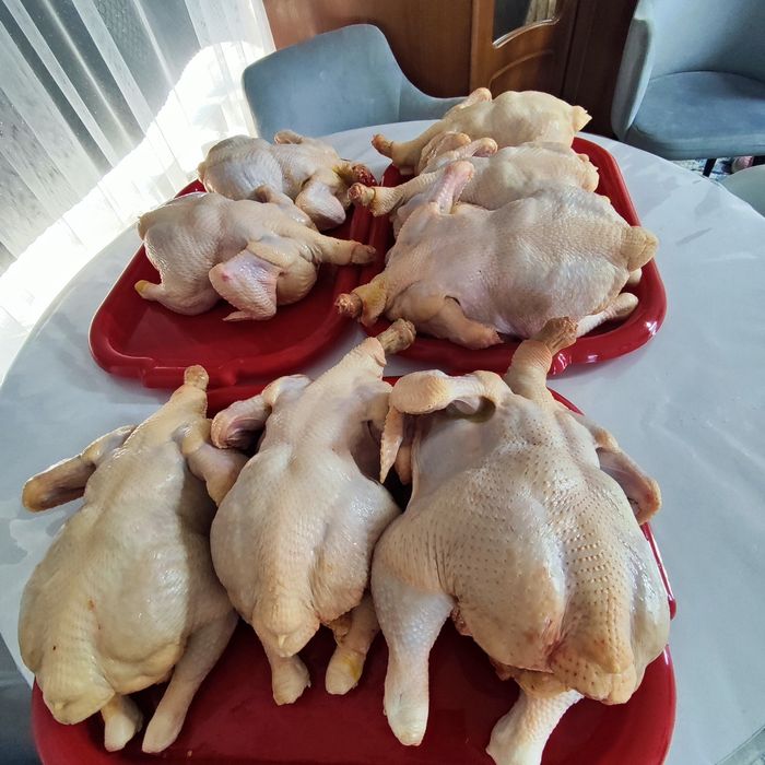 Домашнее мясо курицы