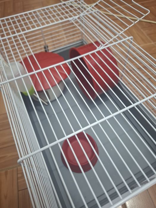 cusca pentru hamsteri cu accesorii