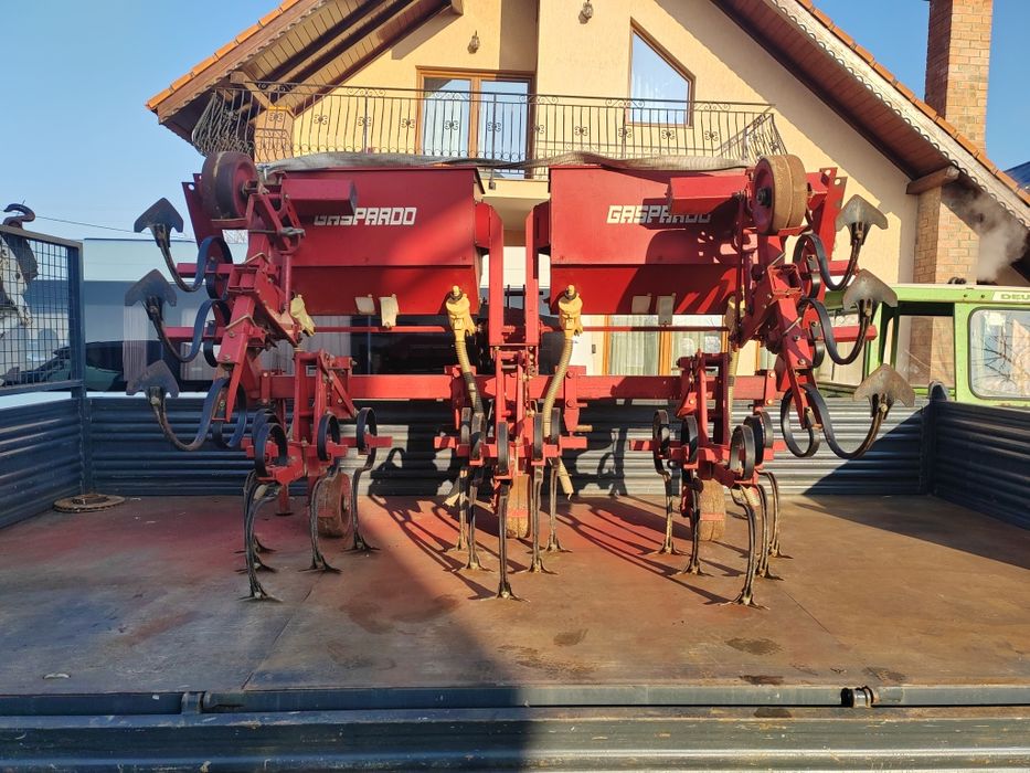 Prasitoare Gaspardo, Sfoggia