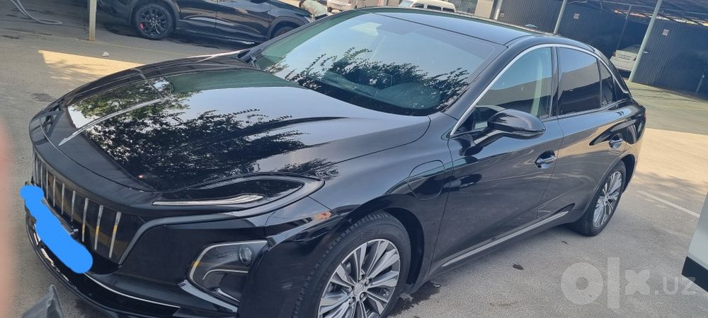 Hongqi 2024 tozza