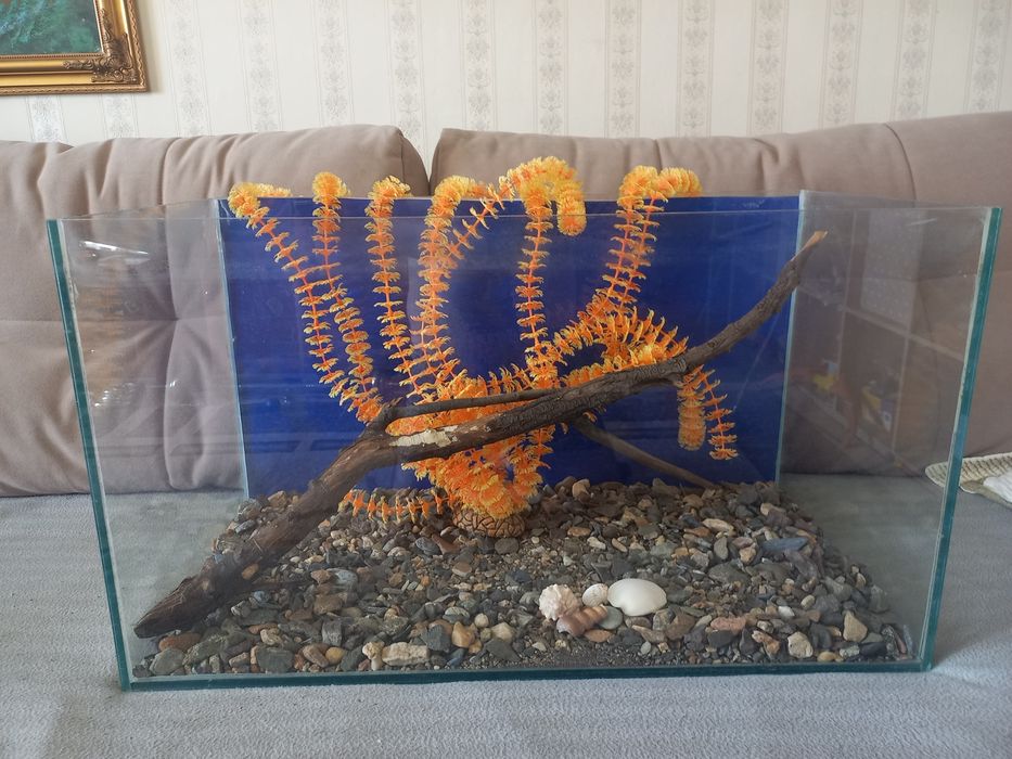 Продам  аквариум 100л