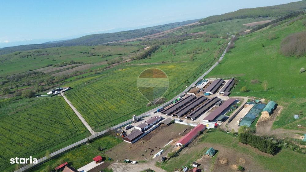 Teren de vanzare sau inchiriat 19ha intravilan, Agnita,Sibiu