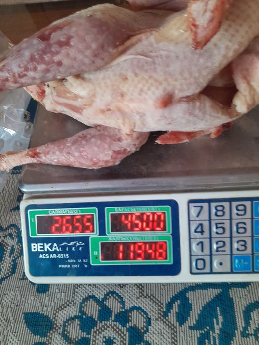 Түйетауық, цесарка, үйрек еті сатылады